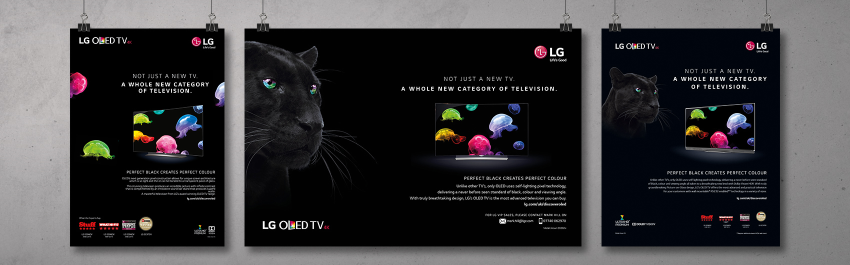 LG OLED Rollout