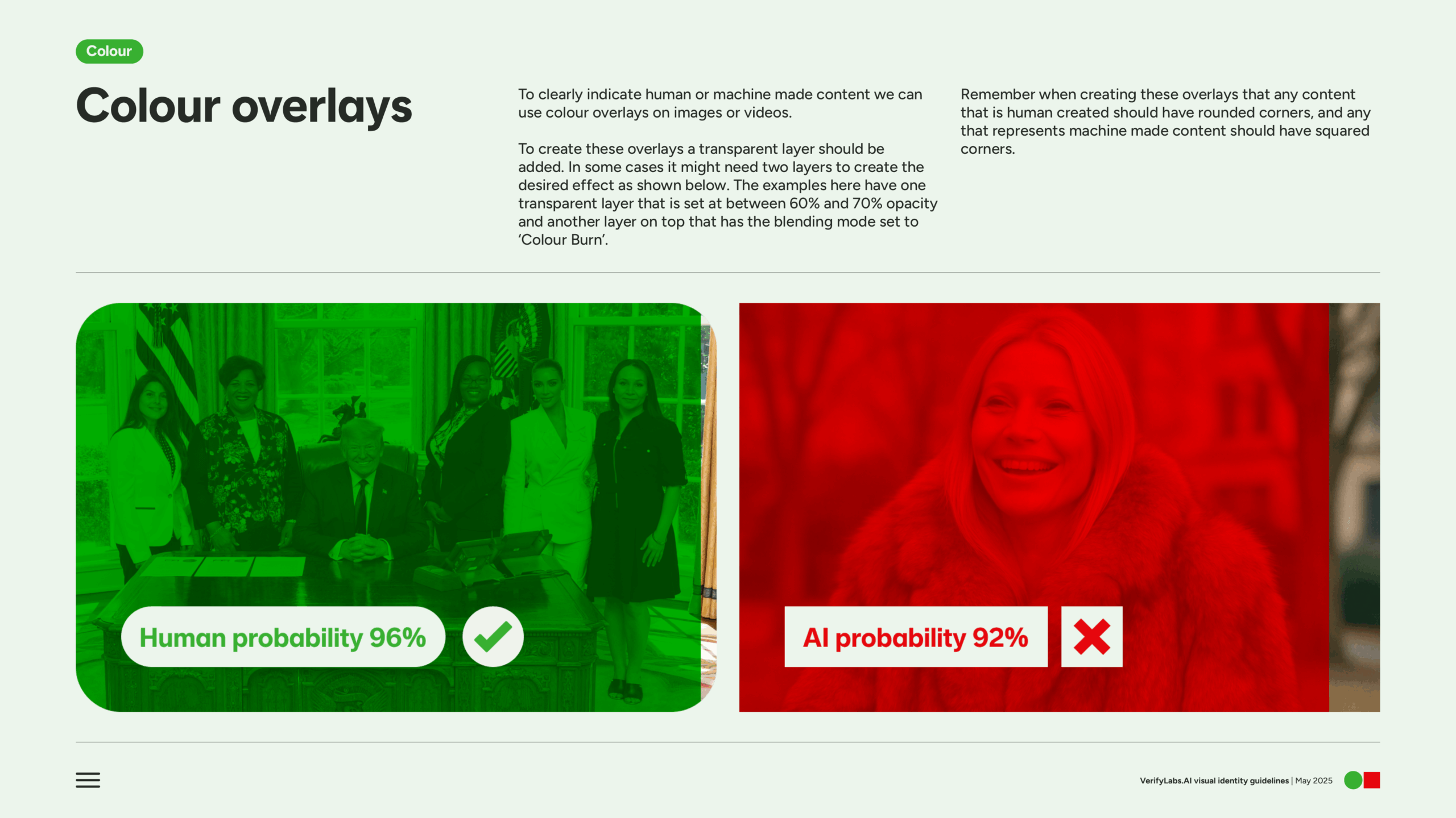 VerifyLabs guidelines page 06